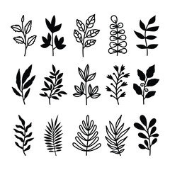 Set of branch and leaves vector