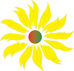 flower of the sun