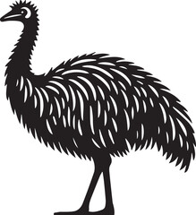 Emu Bird Vector 
