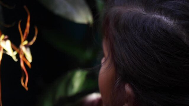 Second-grade girl exploring and discovering nature's garden, watching an orchid flower with a magnifying glass