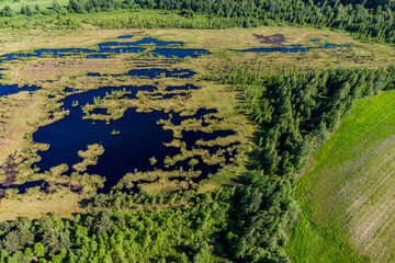 Aerial view of a swamp on the site of a former peat bog