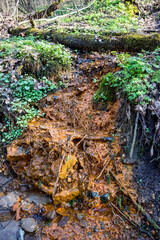 A ferruginous stream, stained in a rusty color, flowing along the ground