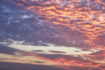 Red sunset clouds on blue sky. Background texture