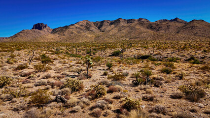 Desert of Arizona from above with its dry landscape - aerial view - aerial photography