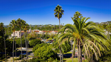 The famous Palm Trees of Beverly Hills - aerial view - Los Angeles Drone footage - aerial photography