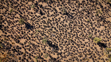 The wide rural landscape of the Arizona desert - aerial view from above - aerial photography
