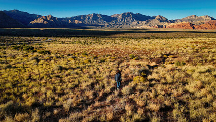 Young woman walks as a cowgirl through the lonesome desert of Nevada - aerial view - aerial photography
