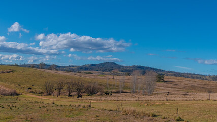 Road trippin through the dry countryside under a blue sky with clouds