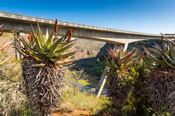 Gouritz River Bridge on the N2 highway in the Garden Route South Africa
