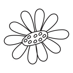 Leaf Aesthetic Doodle