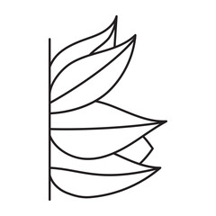 Leaf Aesthetic Doodle