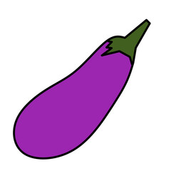 illustration of a eggplant