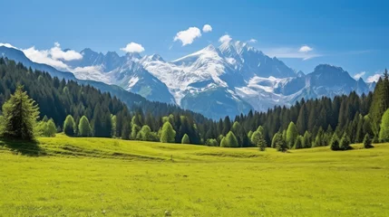 Gordijnen Alpine Meadow Watzmann Mountain Berchtesgadener Land. Grass mountain background © Rstm