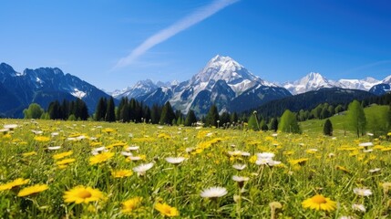 Alpine Meadow Watzmann Mountain Berchtesgadener Land. Grass mountain background