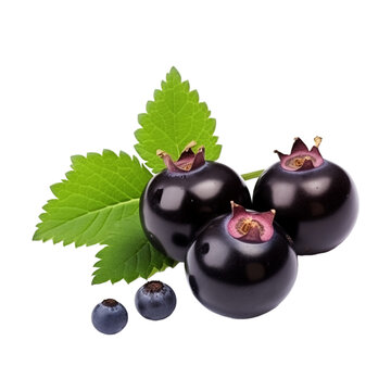 fresh organic blackcurrant cut in half sliced with leaves isolated on white background with clipping path