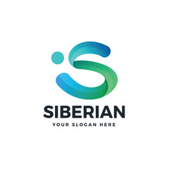 Business Letter S gradient colorful logo vector icon illustration
