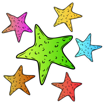 starfish vector illustration