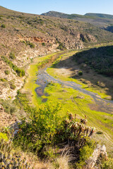 Gouritz river valley with aloes, Klein Karoo South Africa 