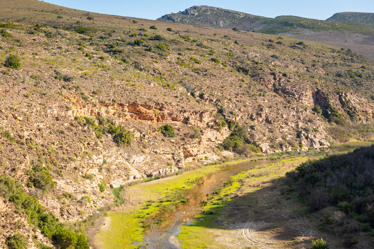 Gouritz river valley with aloes, Klein Karoo South Africa 