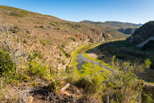 Gouritz river valley with aloes, Klein Karoo South Africa 