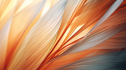 closeup image of natural abstract background
