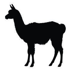 Llama Silhouette Illustration