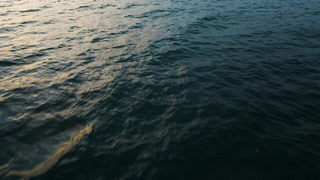 Sunset golden light spread on deep dark blue ocean water texture, aerial bird's eye view