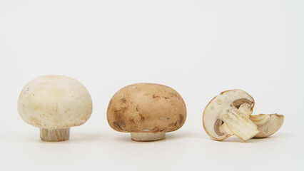 2種類のマッシュルーム(ホワイトとブラウン)