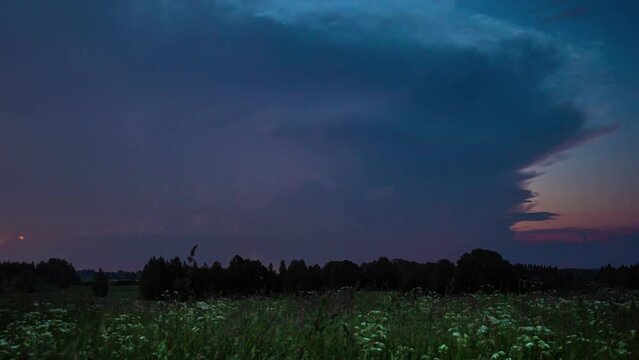 Lightning storm clouds flash light on dark grey day above flower meadow by forest