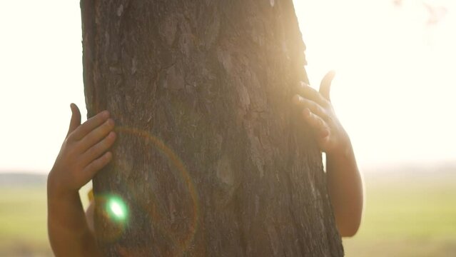 Happy child hugs a tree with his hands. Forest environment. Man's love for nature. Emotion hugging a tree. Nature ecology concept. Green plants in forest. Hugging a tree is symbol of love for nature