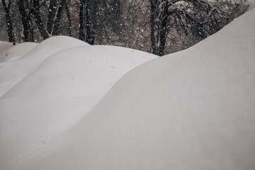 Snowdrifts and snowfall in a park or forest.