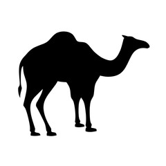 Camel silhouette vector. Dromedary silhouette can be used as icon, symbol or sign. Camel icon vector for design of desert, sahara, africa or journey