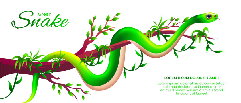 Cartoon green snake on branch of tree vector illustration