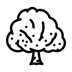 custard apple jungle amazon line icon vector. custard apple jungle amazon sign. isolated contour symbol black illustration