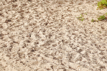 full frame of beach sand