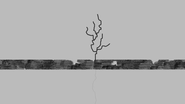A tree stands on a strip of land that changes over time. The thin root goes below the surface.