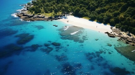 a beach with trees and blue water