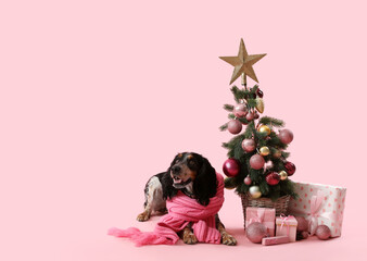 Cute cocker spaniel in scarf with Christmas tree and presents on pink background