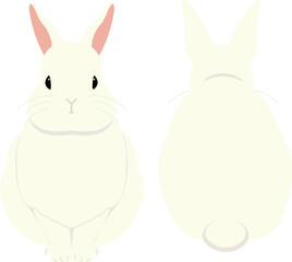 おすわり白うさぎ（正面・背面セット）