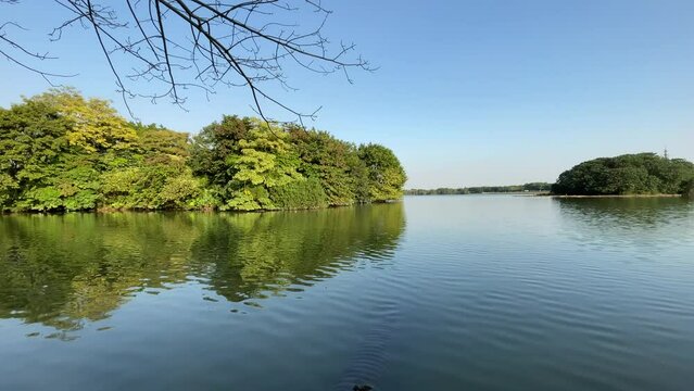 lake in the park