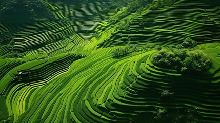 Fototapeta premium background pattern