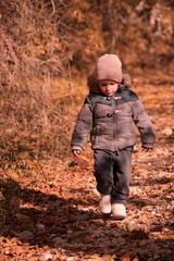 Little toddler walking in the forest