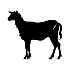 silhoutte of a sheep