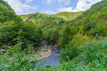 Chepelare River, in the Rhodope Mountains