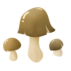 Brown mushrooms set illustration transparent PNG