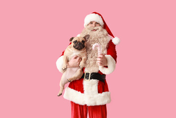 Santa Claus with cute French bulldog and candy cane on pink background