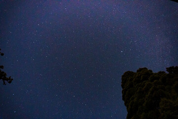 The night sky from Shikanosawa Hut on Yakushima Island
