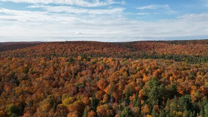 
Fall in Algonquin Park

Ariel view of Fall in Algonquin Park
