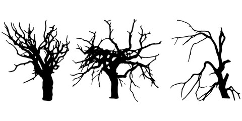 set of vector images of dry tree silhouettes on a white background