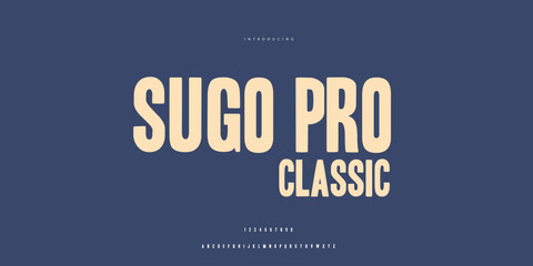 Elegant Font Uppercase Lowercase and Number. Classic Lettering Minimal Fashion Designs. Typography modern Sen serif fonts regular decorative vintage concept. vector illustration © SyedMuhammad